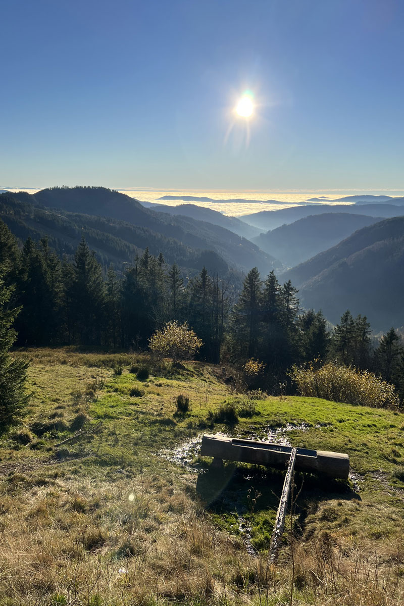 Ferienwohnung Feldberg aussicht