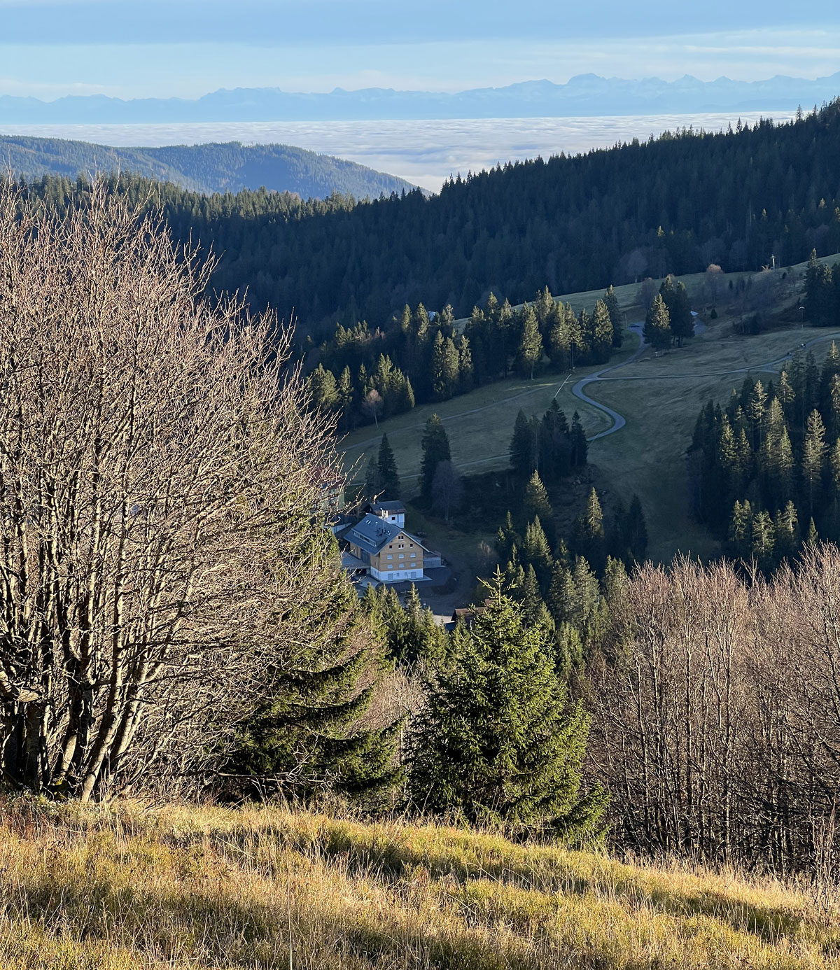 Ferienwohnung Feldberg lage wohnung haus