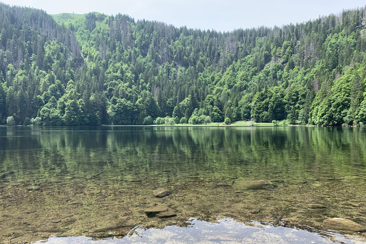 Ferienwohnung Feldberg feldsee